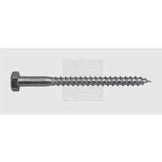 SWG Träskruv 8 mm 120 mm Set of 50
