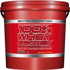 Scitec Nutrition 100% Whey Protein Professional 5000g Vanilla 100% Whey Protein Professional 5000g Chocolate Gym