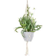 Spider In Hanging Basket Artificial Plant