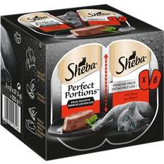 Sheba Pets Sheba 6x37.5g Gravy Turkey Chunks Perfect Portions Food