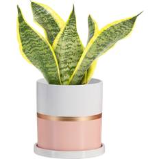 Ekirlin 5 Inch Ceramic Plant Pot Pink