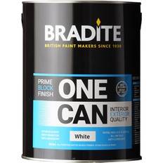 Paint Bradite One Can RAL