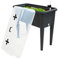 Pots & Planters Sunnydaze Decor Self-Watering Raised Garden Bed with Cloche Cover