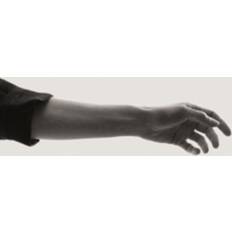 CDs on sale Limbs (CD)