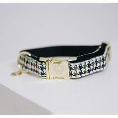 Kentucky Dogwear PieddePoule Hundehalsband