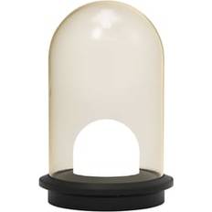 Molto Luce Pille Single LT 14W Champagnefärgat Glas Bordslampa