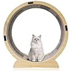 Kattträningshjul katthjul katt löpband hjul katt