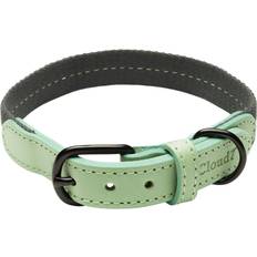 Cloud7 Hundhalsband & Selar Husdjur Cloud7 Dog Collar Madeira Mint L-XL