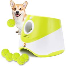 Dog ball launcher Compare find best prices today
