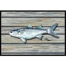 Carpets & Rugs Carolines Treasures Fish Mullet Indoor Outdoor Doormat 24 x 36 White