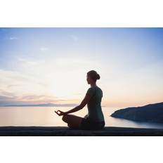 Ebern Designs Meditation Outdoors Poike Photograph Framed Art