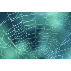 Latitude Run Hering Spider Web Framed Art