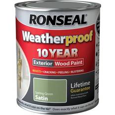 Paint Ronseal 10 Year Weatherproof Paint Satin Green 0.75L