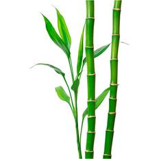 Bamboo Wall Decorations 17 Stories Green Bamboo Framed Art