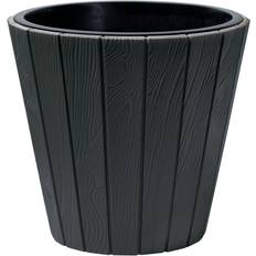 Pots, Plants & Cultivation URBN Living Anthracite 350 x1 Flower Plant Flower