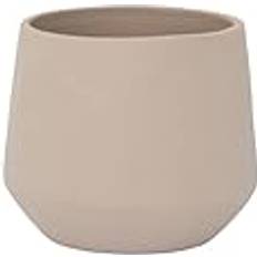 Julia XS Funghi Beige