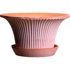 Bergs Potter Blumentopf Daisy Raw