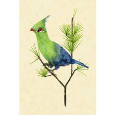 17 Stories Green Turaco II Framed Art