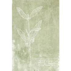 August Grove Essential Botanicals IV Framed Art