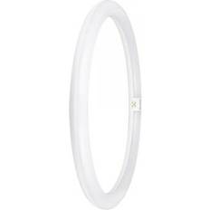 LEDVANCE T9C EM V 40 24W 840 G10Q EEK: E