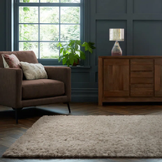 Beige Rug
