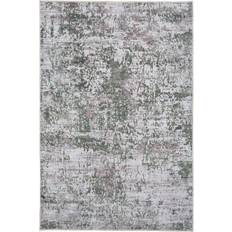 Carpets & Rugs Williston Forge Amodio Area