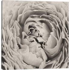 Fleur De Lis Living BW Peony Print on Canvas Framed Art