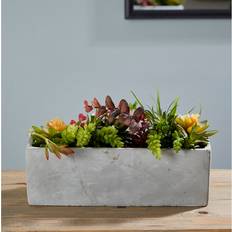 Zipcode Design Sydnee Succulent Artificial Plant