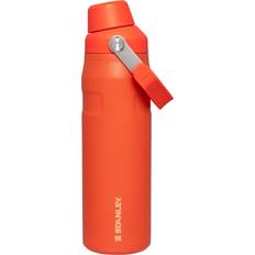 Orange Water Containers Stanley 24 oz. AeroLight IceFlow Bottle with Fast Flow Lid, Tigerlily