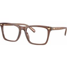 Coach HC6238U Transparent Pecan Standard