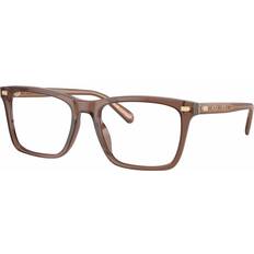 Glasses & Reading Glasses Coach Man Transparent Pecan Transparent Pecan