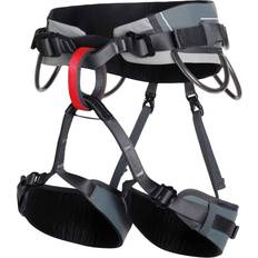 Dome Harness Black M-L