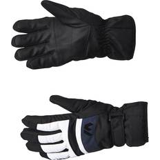 Hiihtovarusteet Whistler Rhett Ski Gloves Blue, Unisex, Vaatteet, hatut ja lakit, Alppien urheilu, Sininen