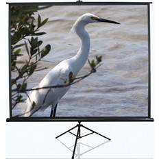 Projektorlerreter Elite Screens Tripod T120NWV1 Diagonal 120 4:3, Viewable width W 244 cm, Leinwand