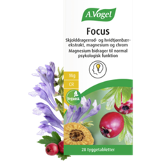 A.Vogel Focus 28stk