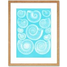 Beige Framed Art ARTERY8 Fossil Sea Ammonites Blue Wall Print 9X7 Framed Art