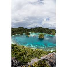 Velvet Framed Art Breakwater Bay Tropical Pacific Island Framed Art