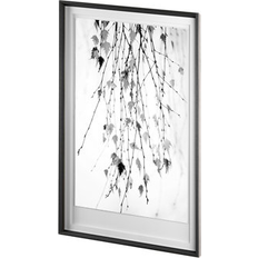 Cotton Framed Art Mercana Black Large Size Beach Sandals 23.5 cm Framed Art
