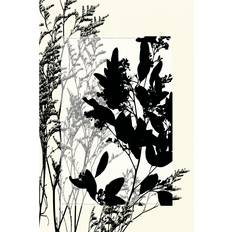 Transparent Framed Art Rosalind Wheeler Translucent Wildflowers X Framed Art