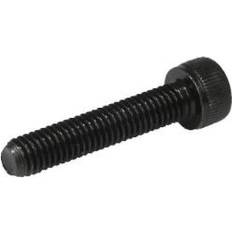 Reyher Sexkanthålsskruv M14 MC6S 12.9 DIN 912 50-pack