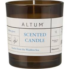 Ib Laursen Doftljus Ib Laursen Altum Golden Grass Doftljus