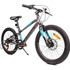 Sun Baby Verdant Alu Bike pojkar 20 hjulstorlek 6 växlar Barncykel