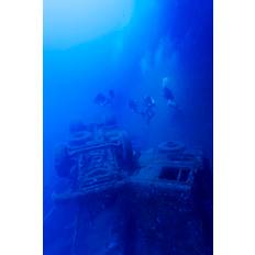 Breakwater Bay Murrieta Murrieta Zenobia Ship Wreck Framed Art