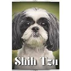 Shih Tzu Nina Pustova 9798397236010 (Hæftet)