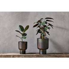 Pots, Plants & Cultivation Nkuku Dasalla Planter &