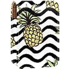 Pineapple Comosus Striped