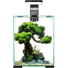 Aquael Shrimp Set Day Night 30 Nano Akvarium 30 l