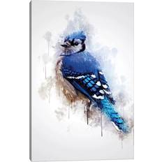 ClassicLiving Blue Jay Bird Cornel Vlad Framed Art