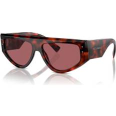 Solglasögon Dolce & Gabbana Sköldpaddemönstradeshell Solglasögon Män