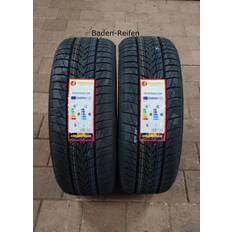 Minerva 205 55R17 95V XL Frostrack Car Tyre